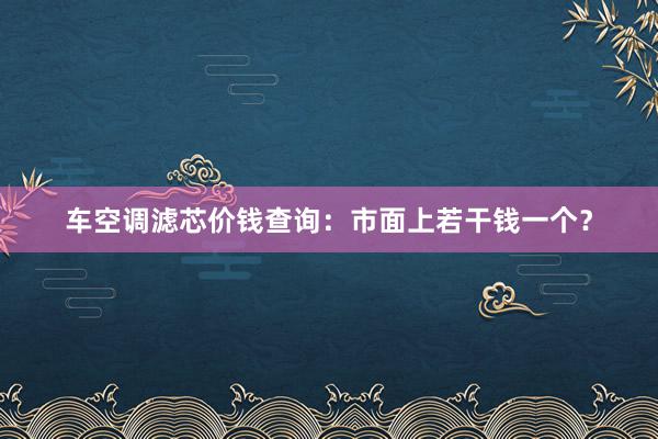 车空调滤芯价钱查询：市面上若干钱一个？